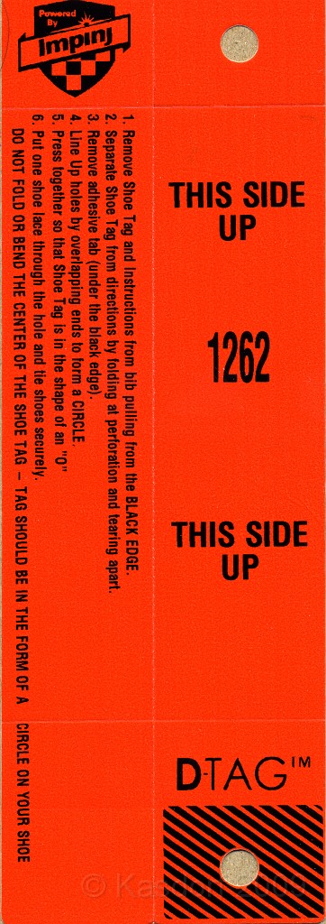 Detroit Turkey Trot 2009 02.jpg - The 2009 Detroit Turkey trot 10K was run on November 29, 2009. A chilly and blustery day. Lots of costumes and racers though, 12400 strong!